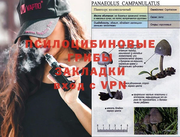 соль ск Осташков