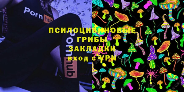 МДПВ Алексеевка