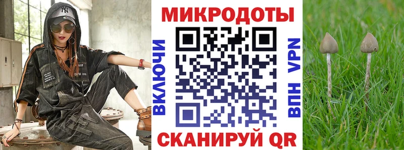 Галлюциногенные грибы MAGIC MUSHROOMS  где можно купить   Урус-Мартан 